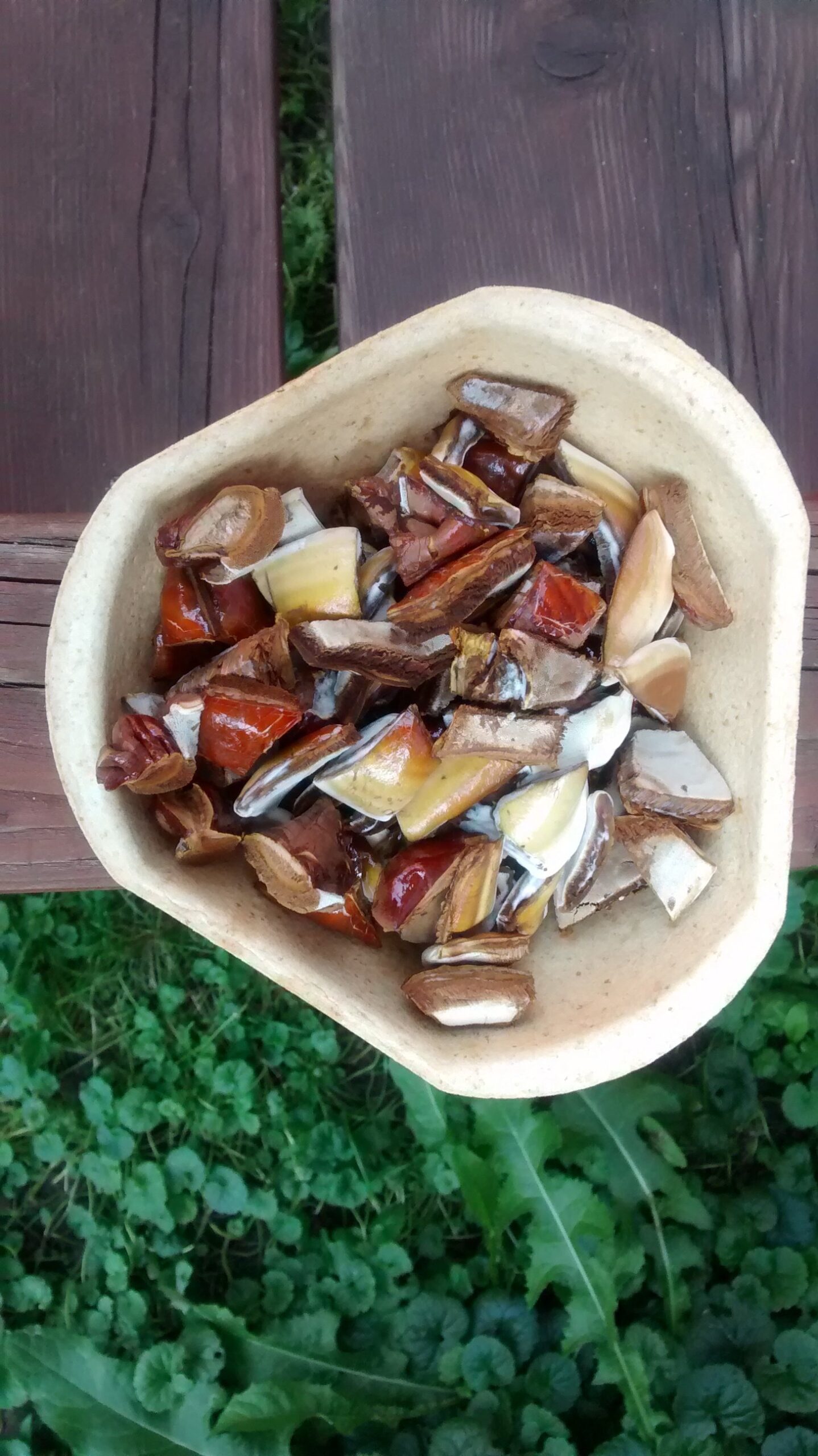 Bio Reishi-Vitalpilz-Rohstückchen